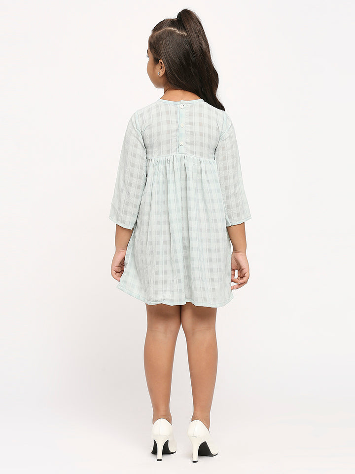 Checked Georgette A-Line Dress